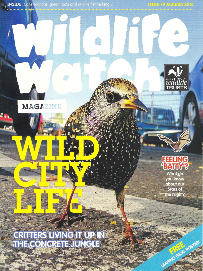 wildlife-watch-page-1